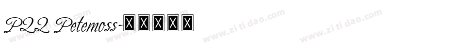 P22 Petemoss字体转换
